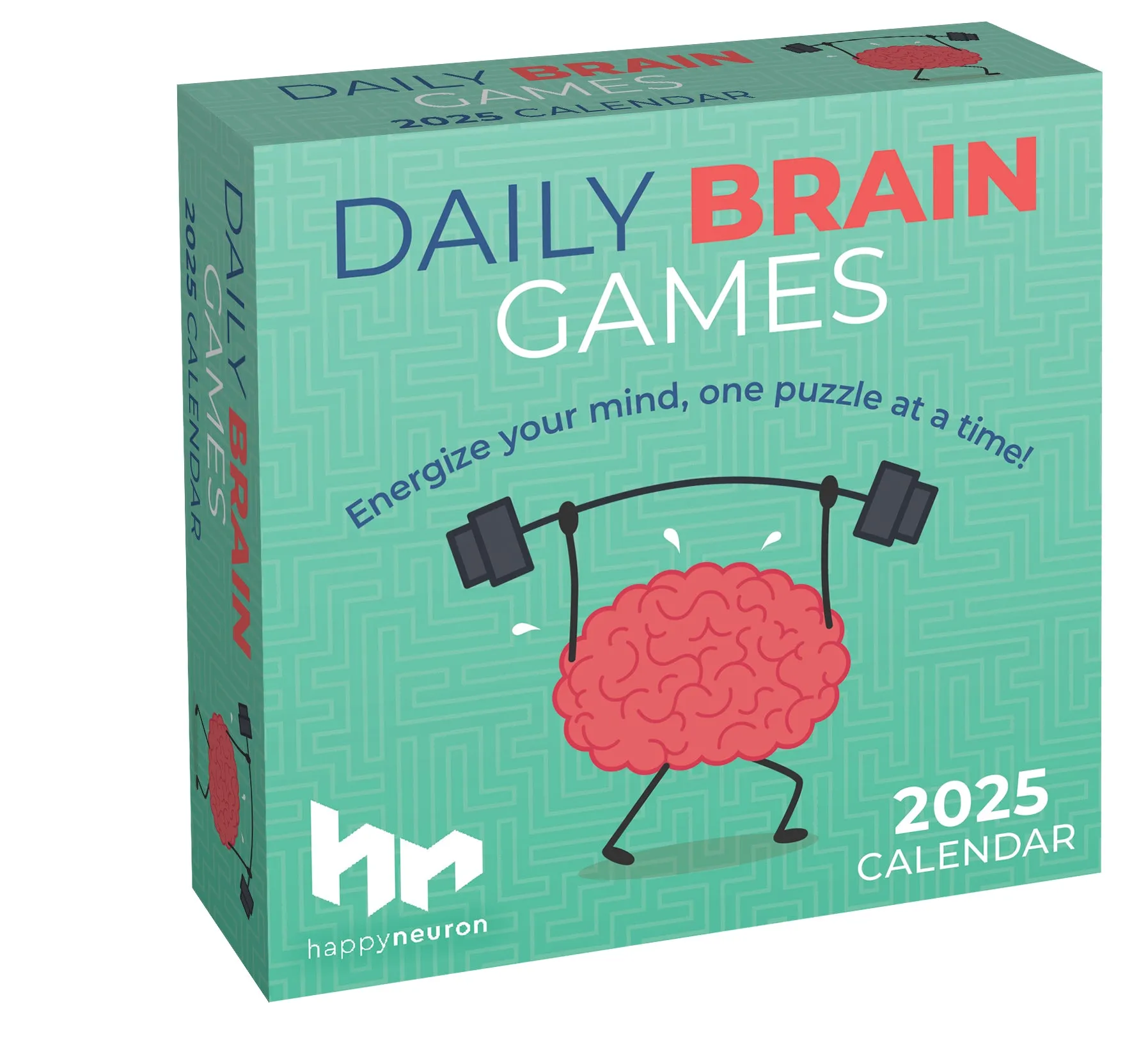 2025 Daily Brain Games Page-A-Day Calendar