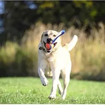 Chuckit! Ultra Tug Dog Toy