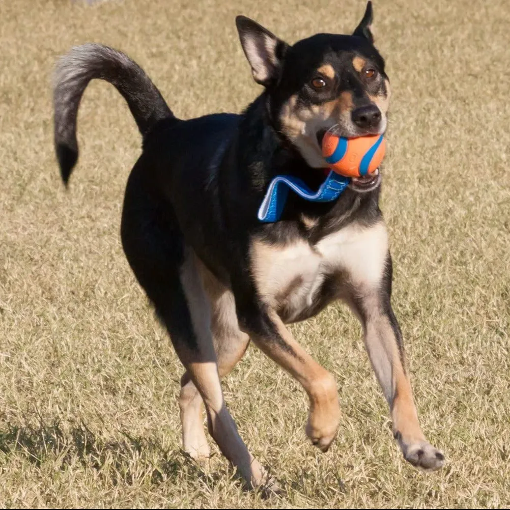 Chuckit! Ultra Tug Dog Toy