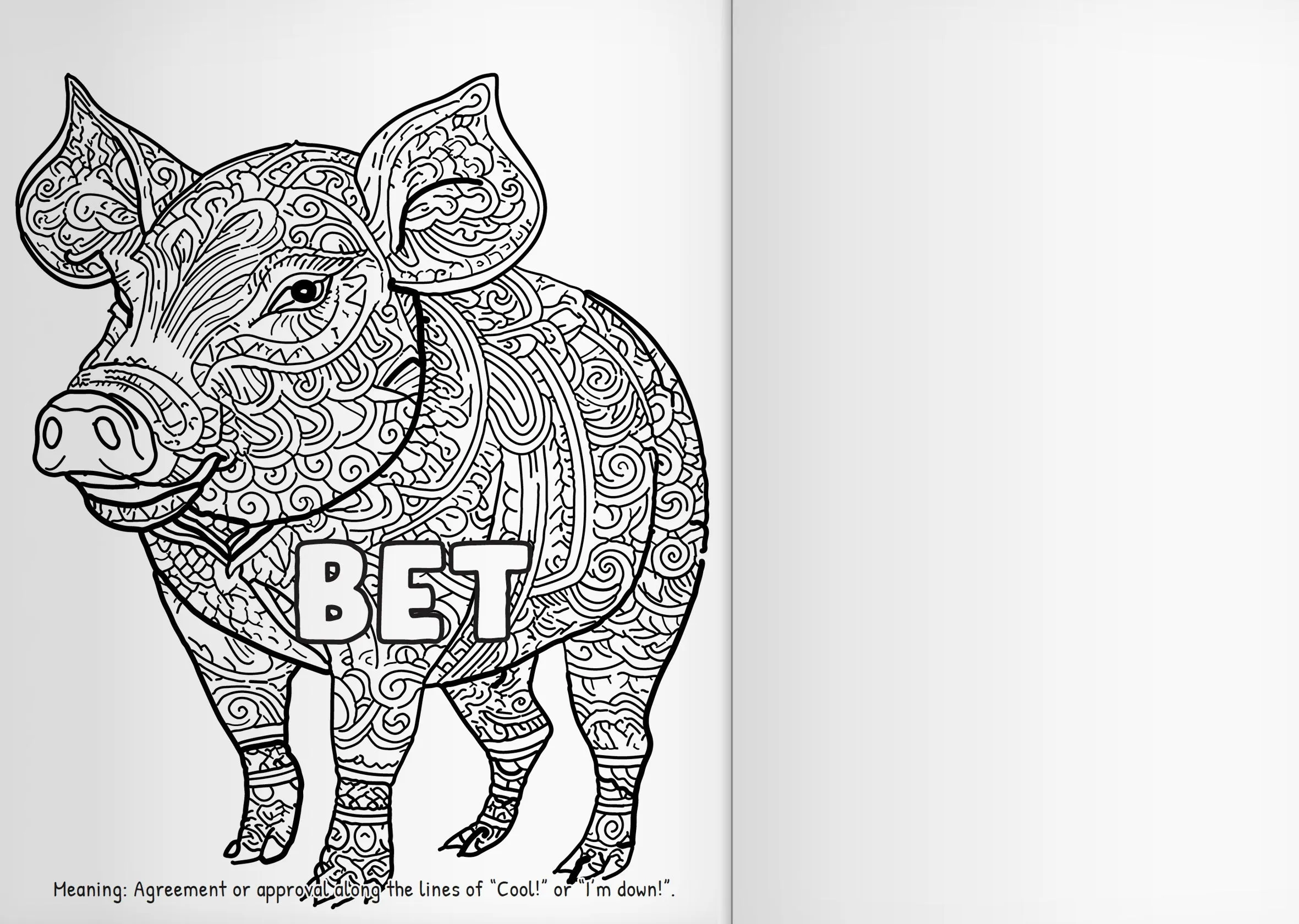 Complete Adult Coloring Book Bundle - Vol 1   2   3