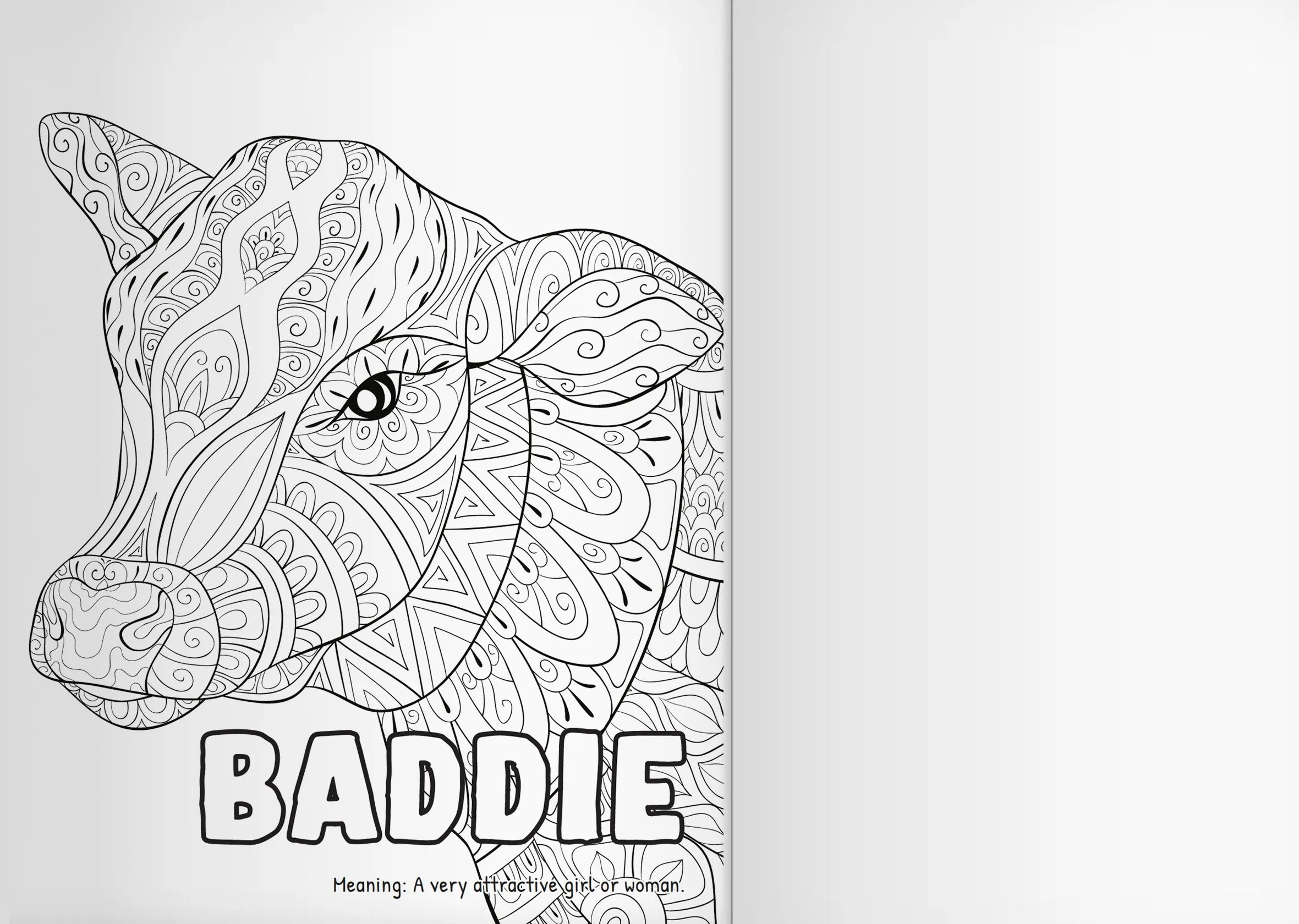 Complete Adult Coloring Book Bundle - Vol 1   2   3