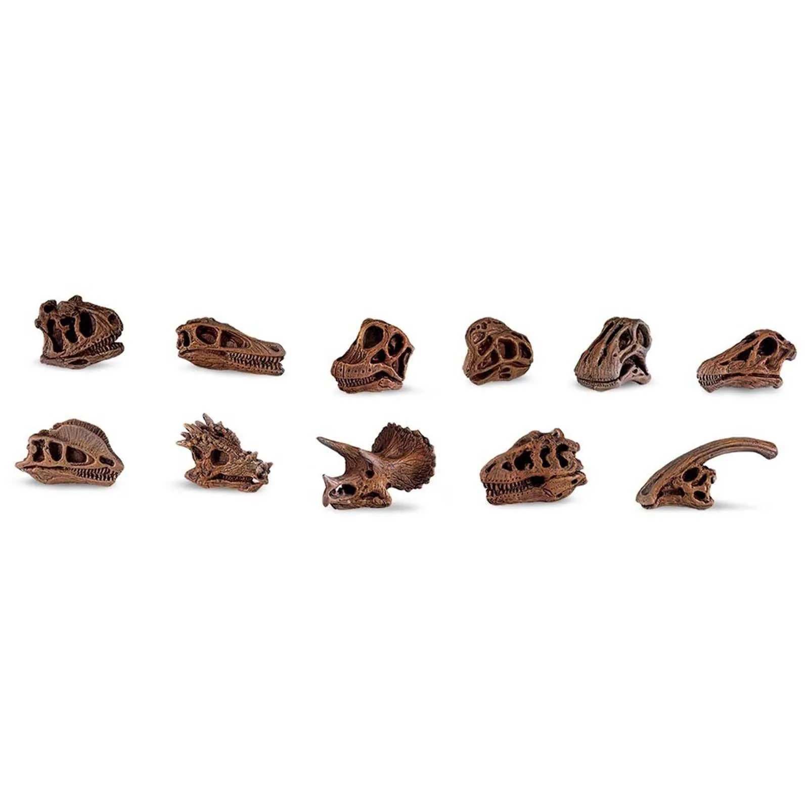 Dinosaur Skulls Toob Mini Figures Safari Ltd