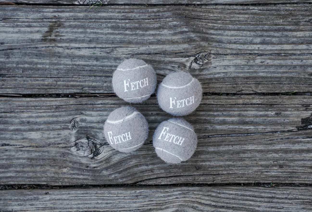 Fetch Balls- 4 Pack