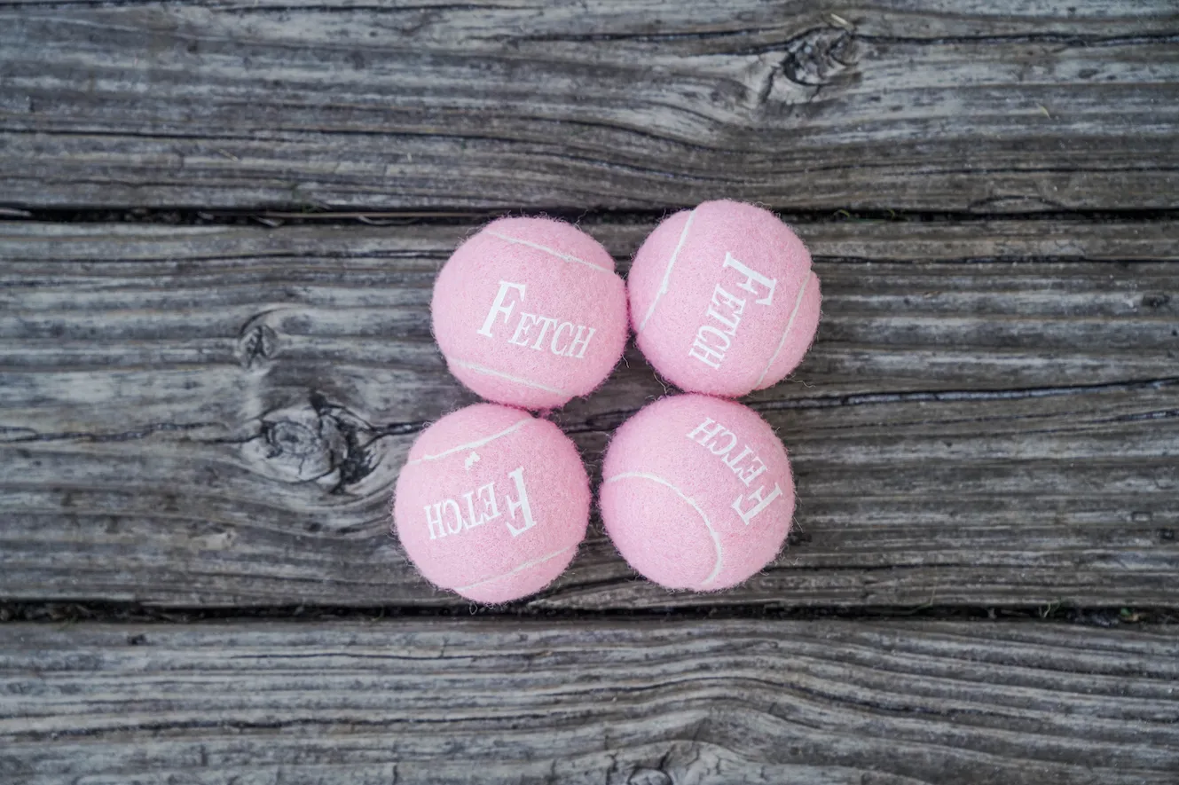 Fetch Balls- 4 Pack