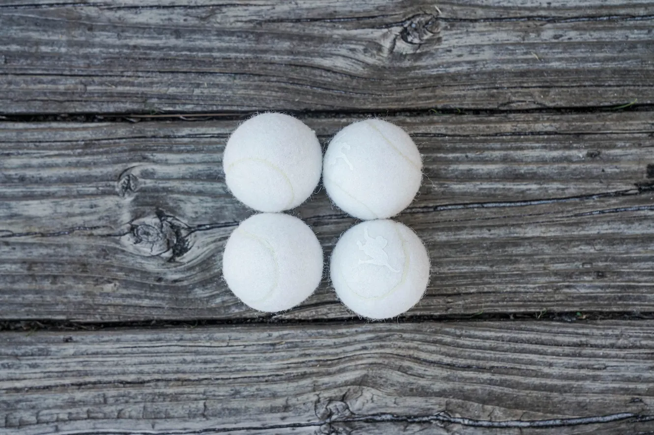 Fetch Balls- 4 Pack