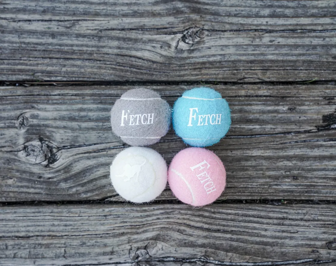 Fetch Balls- 4 Pack