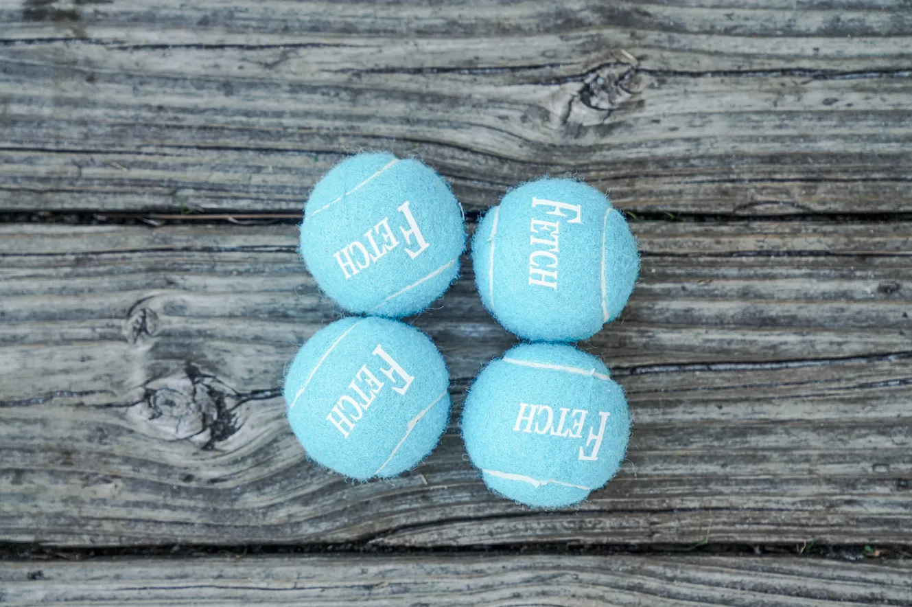 Fetch Balls- 4 Pack