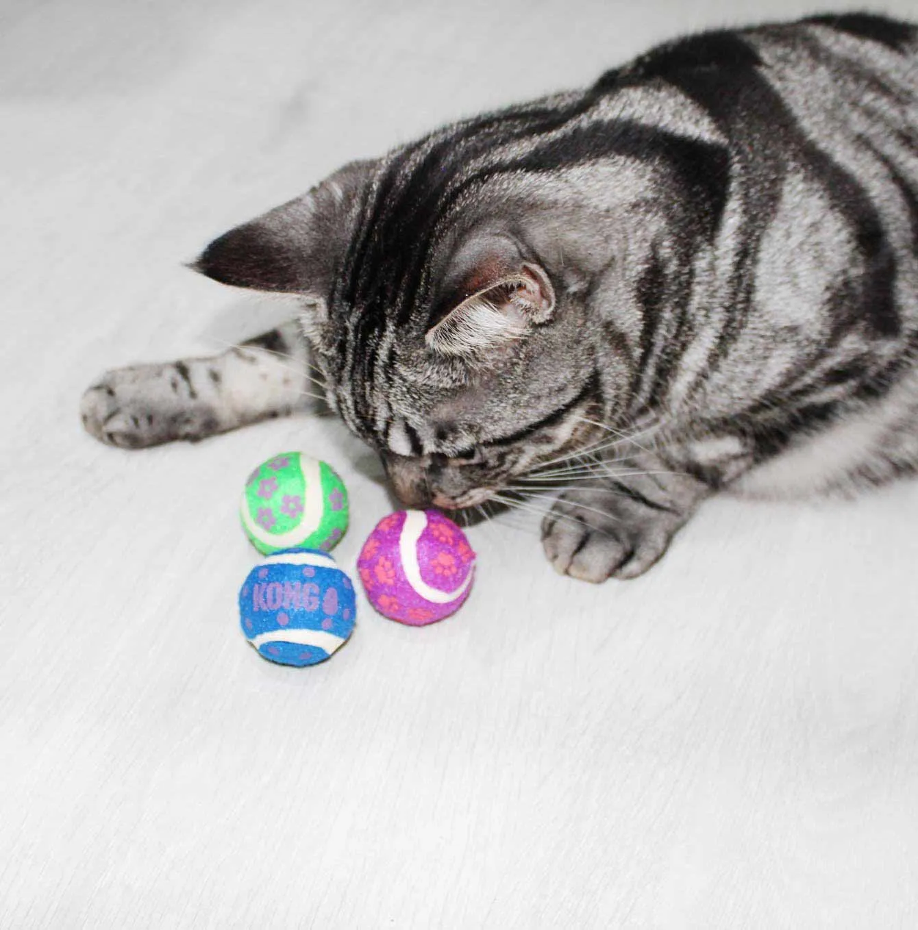 Kong Cat Active Tennis Balls with Bells (3pk)