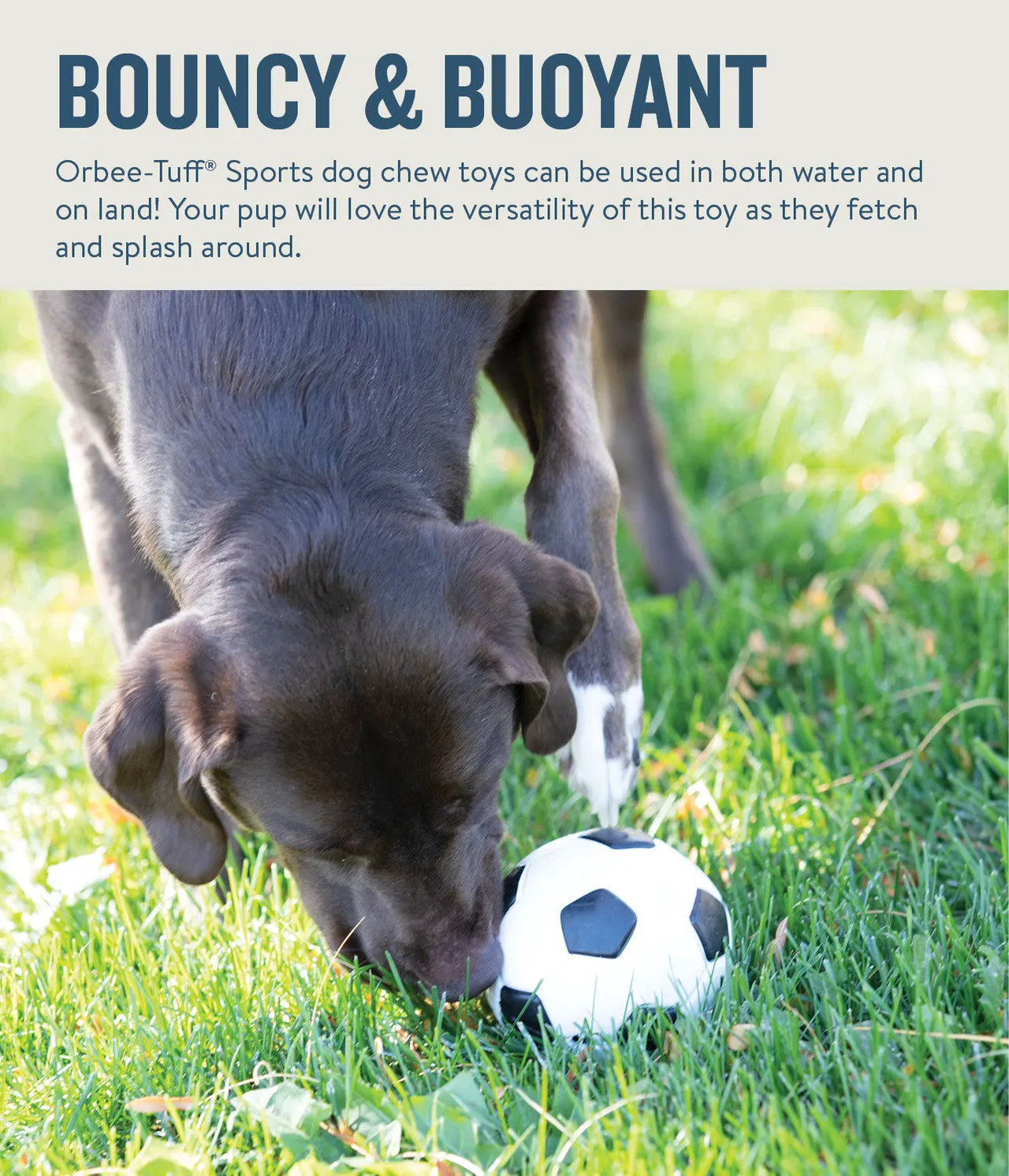 Orbee-Tuff® Sport Treat-Dispensing Soccer Toy