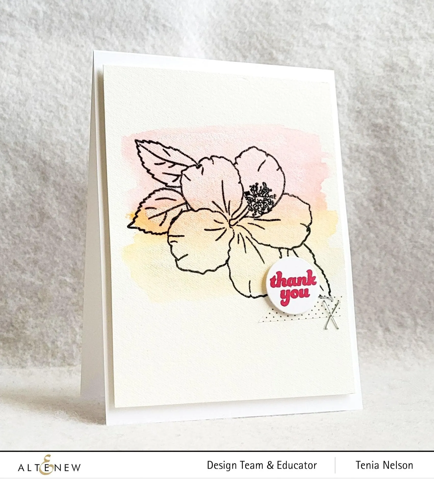Paint-A-Flower: Hibiscus Outline Stamp Set