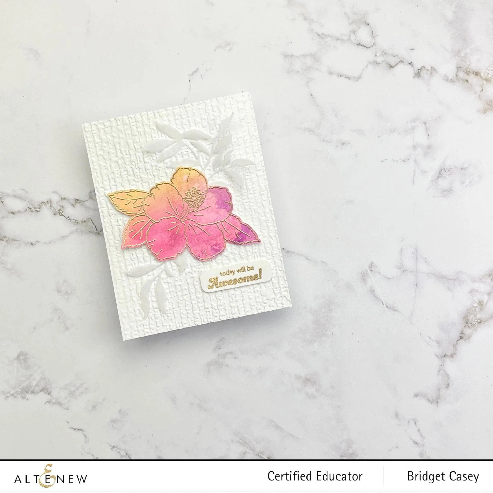 Paint-A-Flower: Hibiscus Outline Stamp Set