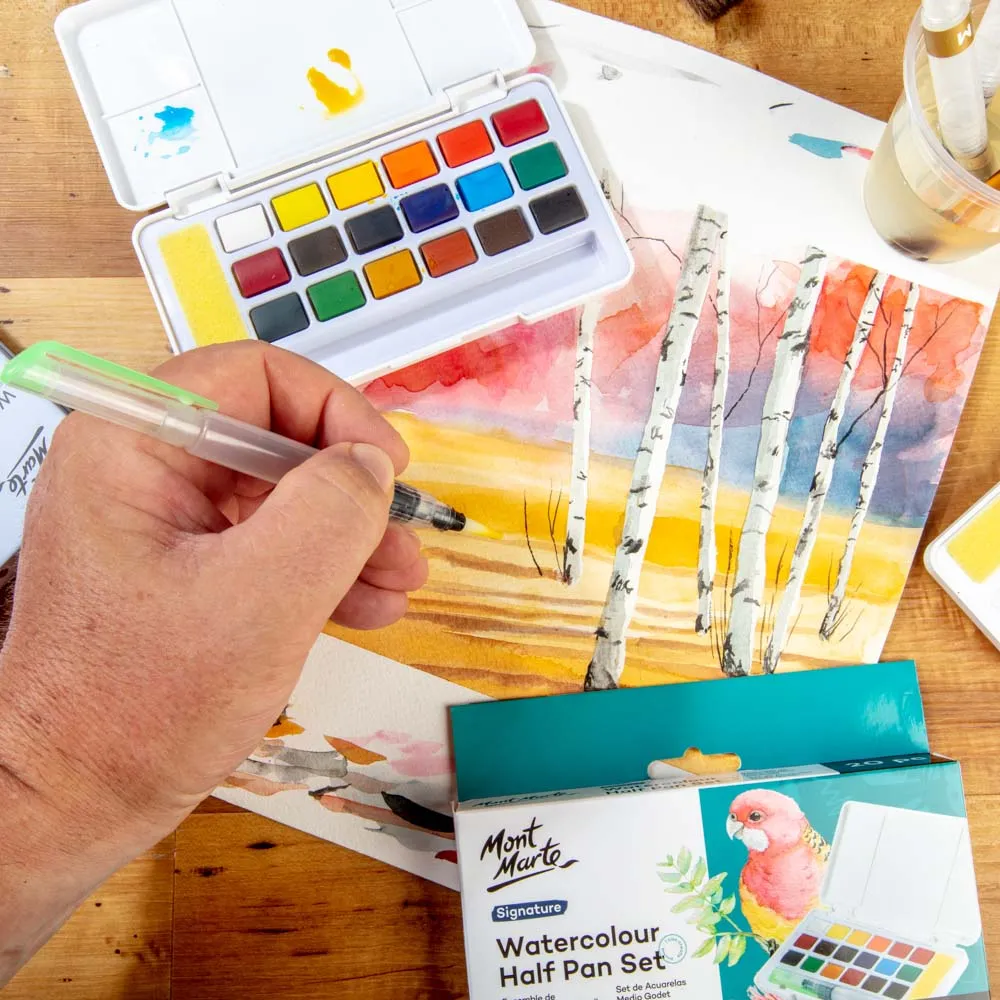 Watercolour Half Pan Set Signature 20pc